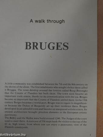 A walk through Bruges