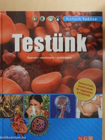 Testünk