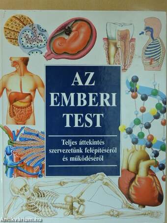 Az emberi test