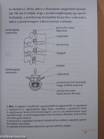 Reumás betegségek (dedikált példány)