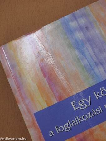 Egy könyv a foglalkozási rehabilitációról