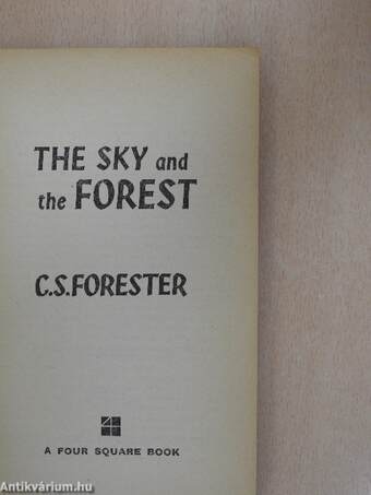 The sky and the forest