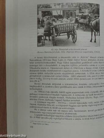 A Duna-Tisza közi homokhátság délkeleti részének paraszti gazdálkodása a 20. században (dedikált példány)