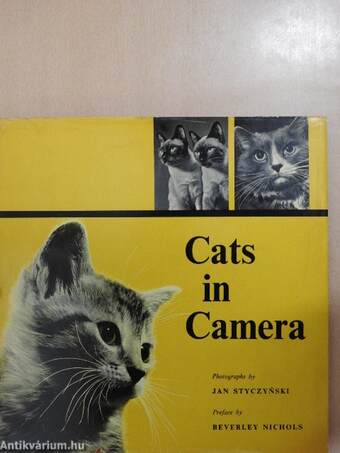 Cats in Camera