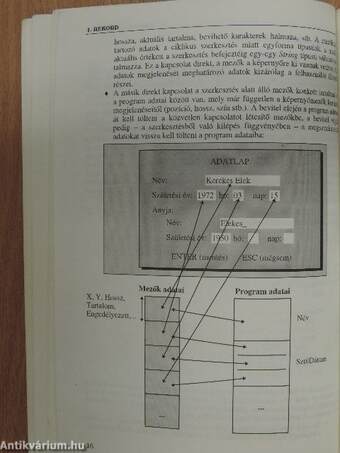 Programozás tankönyv II.