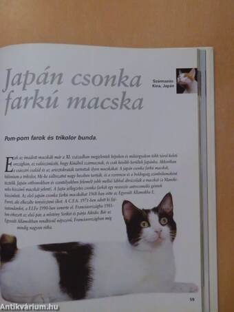 Royal Canin Macskaenciklopédia 2.