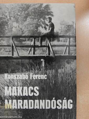 Makacs maradandóság