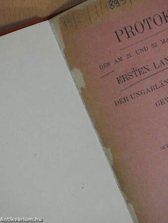 Protokoll des am 21. und 22. Mai 1899 Abgehaltenen Ersten Landeskongress der Ungarländischen Fachvereine und Gewerkschaften