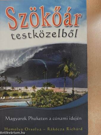 Szökőár testközelből