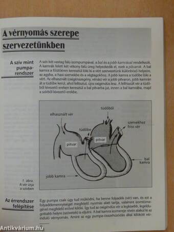 Tudnivalók a magas vérnyomásról