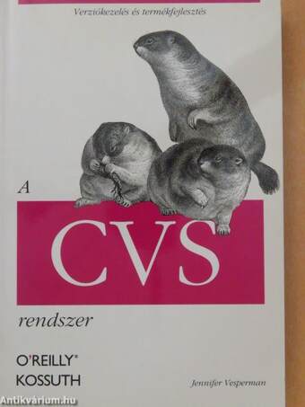 A CVS rendszer