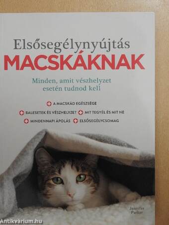 Elsősegélynyújtás macskáknak