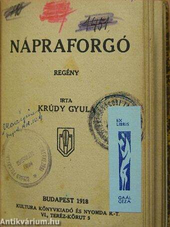 Napraforgó