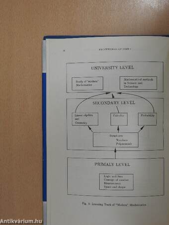 Proceedings of the Sixth International Congress on Mathematical Education