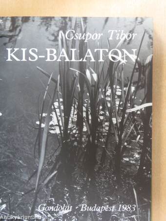 Kis-Balaton