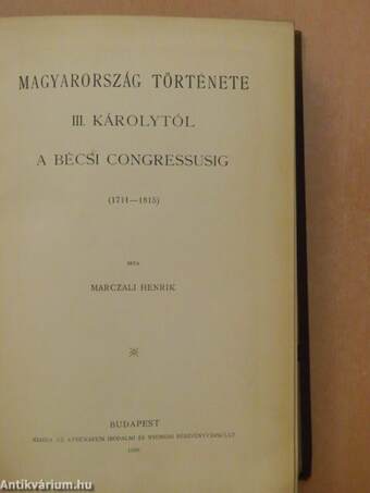 A magyar nemzet története VIII. (rossz állapotú)