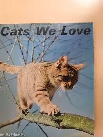 Cats We Love