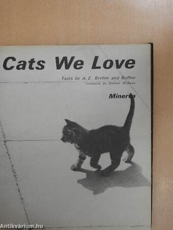 Cats We Love