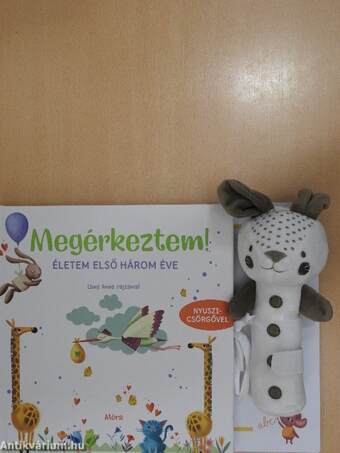 Megérkeztem!