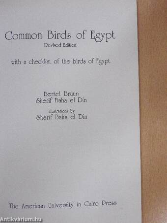 Common Birds of Egypt