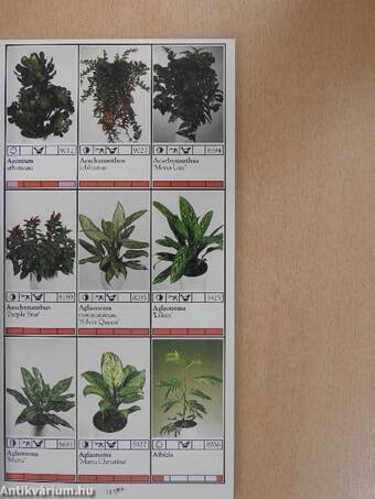 Potplanten/Pot Plants/Topfpflanzen/Plantes en pot/Piante da vaso/Planta en particular 1995/96