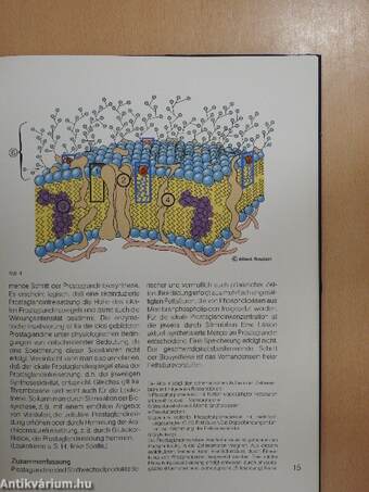 Prostaglandine und Leukotriene bei Entzündung und Schmerz