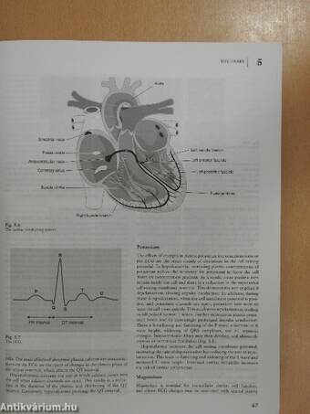 Textbook of Anaesthesia