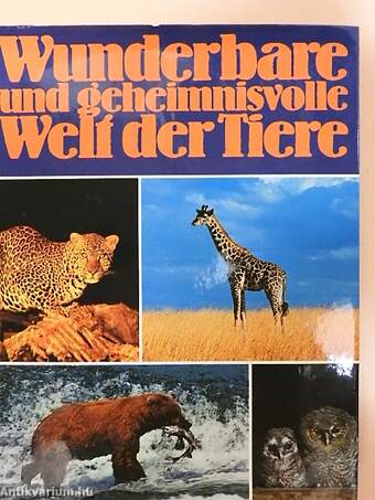 Wunderbare und geheimnisvolle Welt der Tiere