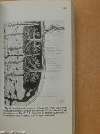 Obstetrics and gynecology