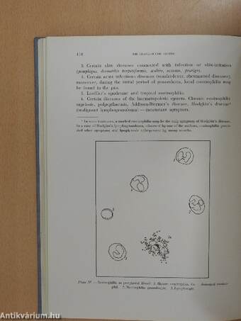 Atlas of Haematology and the Principles of Diagnosis of Blood Diseases