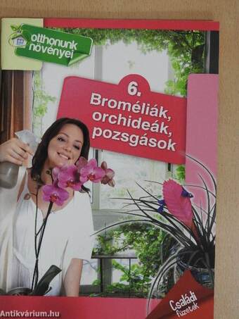 Broméliák, orchideák, pozsgások