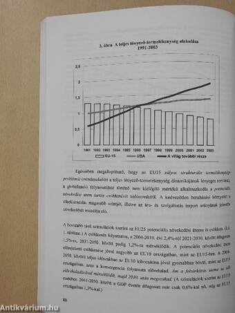 Nemzetgazdaság - Integráció - Világgazdaság