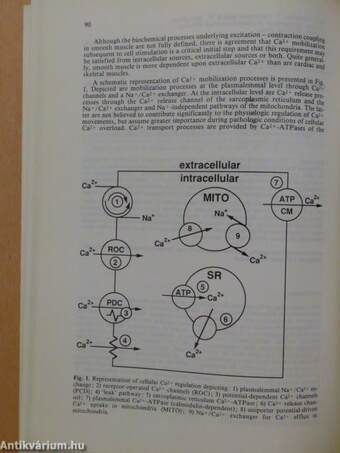 Calcium Antagonism in Gastrointestinal Motility