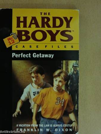 The Hardy Boys: Perfect Getaway