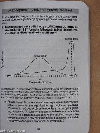 Nyerő csapat