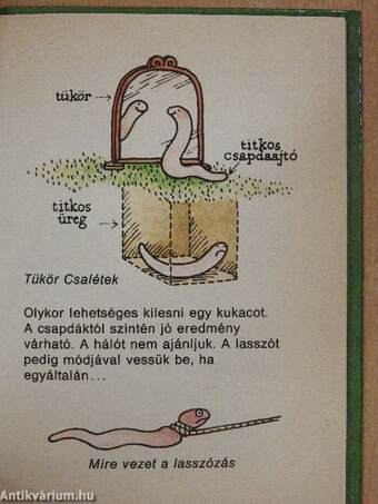 Kis kukac könyv