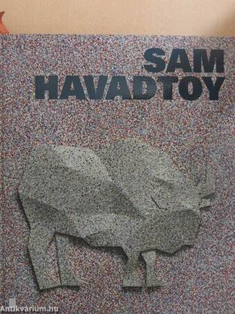 Sam Havadtoy