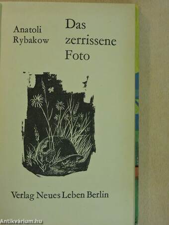 Das zerrissene Foto