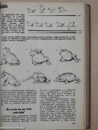 Élet és Tudomány 1976. január-december I-II.