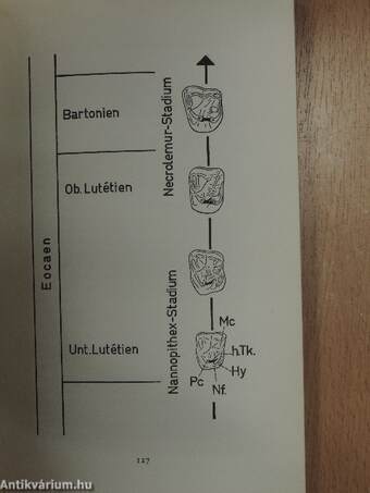 Evolution und Bibel