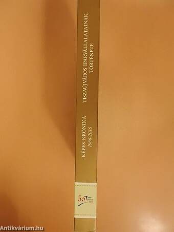 Képes krónika 1966-2016/Tiszaújváros iparvállalatainak története