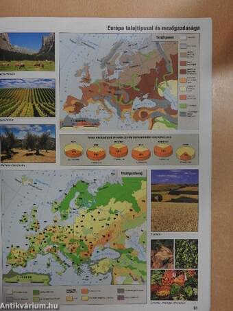 Képes földrajzi atlasz 5-10. osztályosok számára