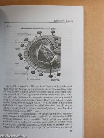 Az AIDS egészségügyi, prevenciós, kulturális és társadalomtudományi megközelítése