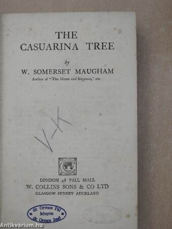 The casuarina tree