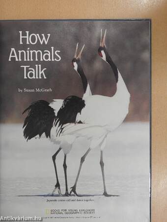 How Animals Talk