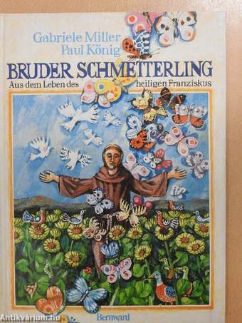 Bruder Schmetterling