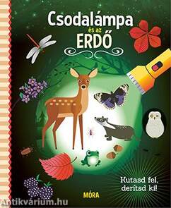 Csodalámpa és az ERDŐ - Kutasd fel, derítsd ki!