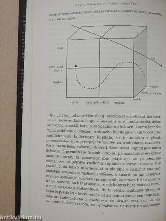 Social inequality and social capital