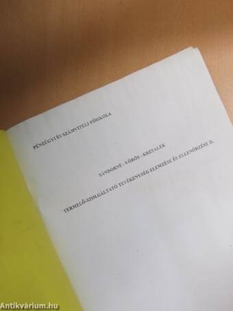 Termelő-szolgáltató tevékenység elemzése és ellenőrzése II.