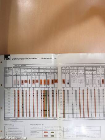 DMS-Programmtafel